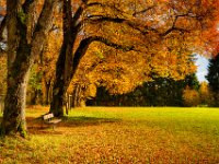 2013.10.26_130859_Herbst Rundfahrt Landsberg_2.jpg